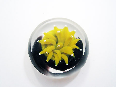 Picture: ../upload/IMG-10286.jpg