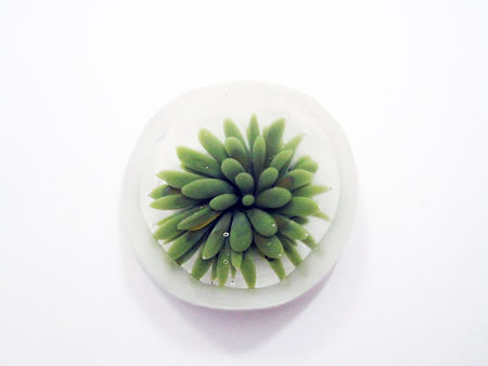 Picture: ../upload/IMG-10290.jpg