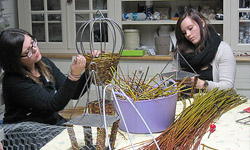 Picture: Vlechtendagen compilatie