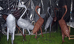 Picture: Reuzevogels in Powertex