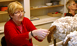 Picture: Donzig schaap