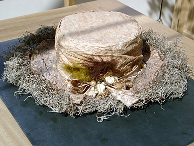 Picture: ../upload/IMG-1221.jpg