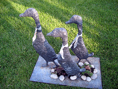 Picture: ../upload/IMG-1265.jpg