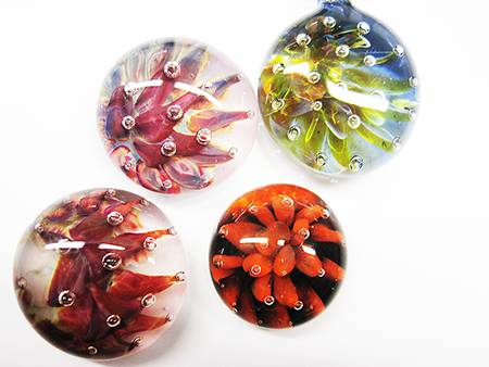 Picture: ../upload/IMG-15141.jpg