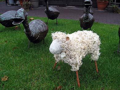 Picture: ../upload/IMG-1557.jpg