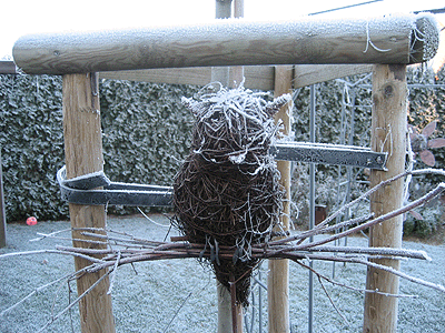 Picture: ../upload/IMG-1692.gif