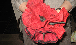 Picture: Gevilte klaprozen