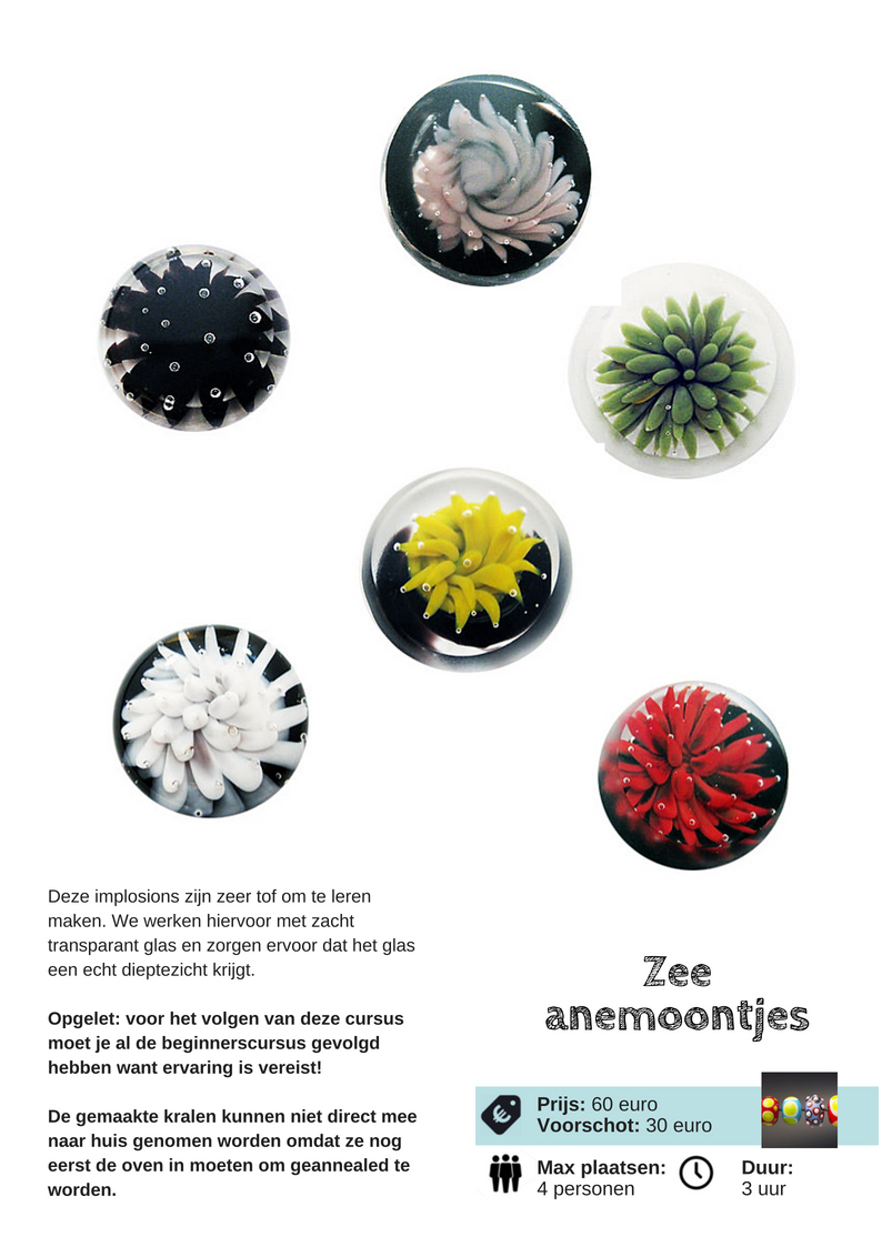 Picture: ../upload/IMG-18451.jpg