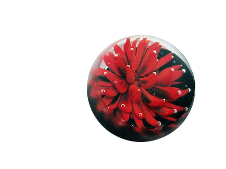 Picture: ../upload/IMG-18452.jpg