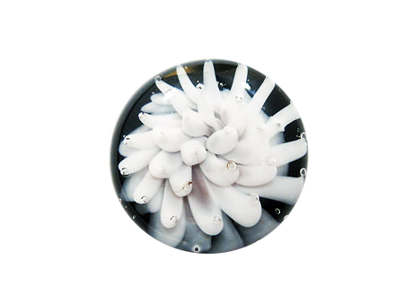 Picture: ../upload/IMG-18455.jpg