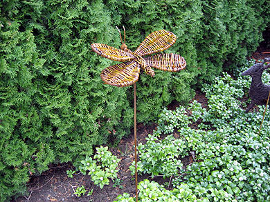 Picture: ../upload/IMG-1892.jpg