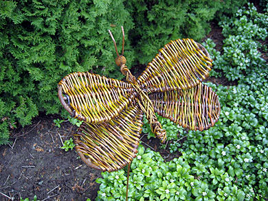 Picture: ../upload/IMG-1894.jpg