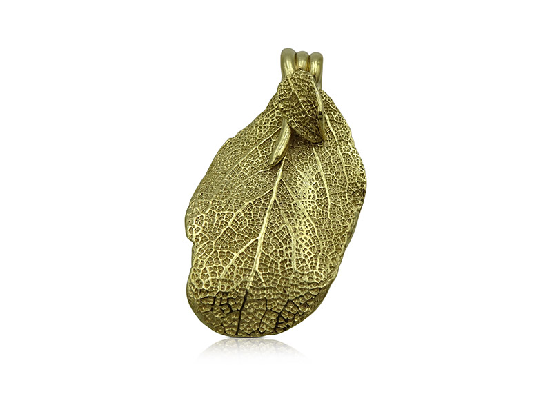 Picture: ../upload/IMG-19477.jpg