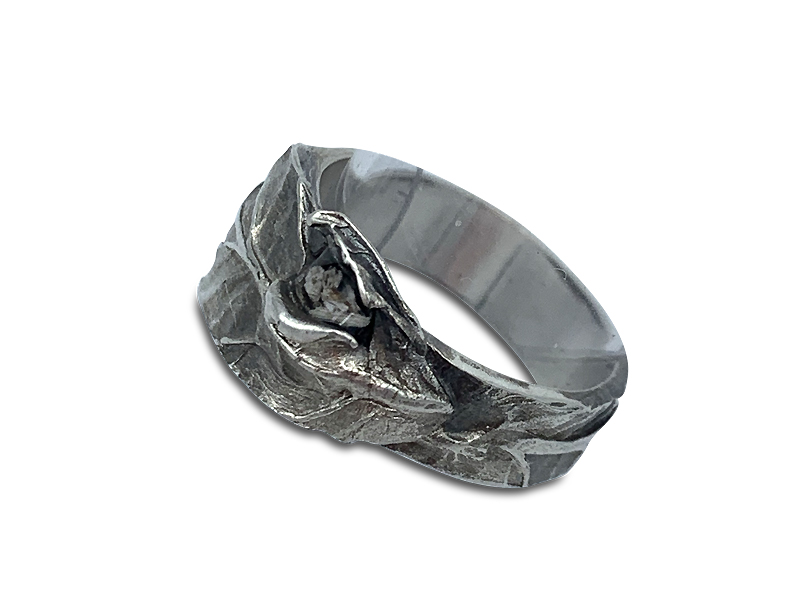 Picture: ../upload/IMG-20702.jpg