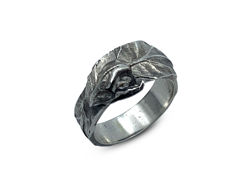 Picture: ../upload/IMG-20704.jpg