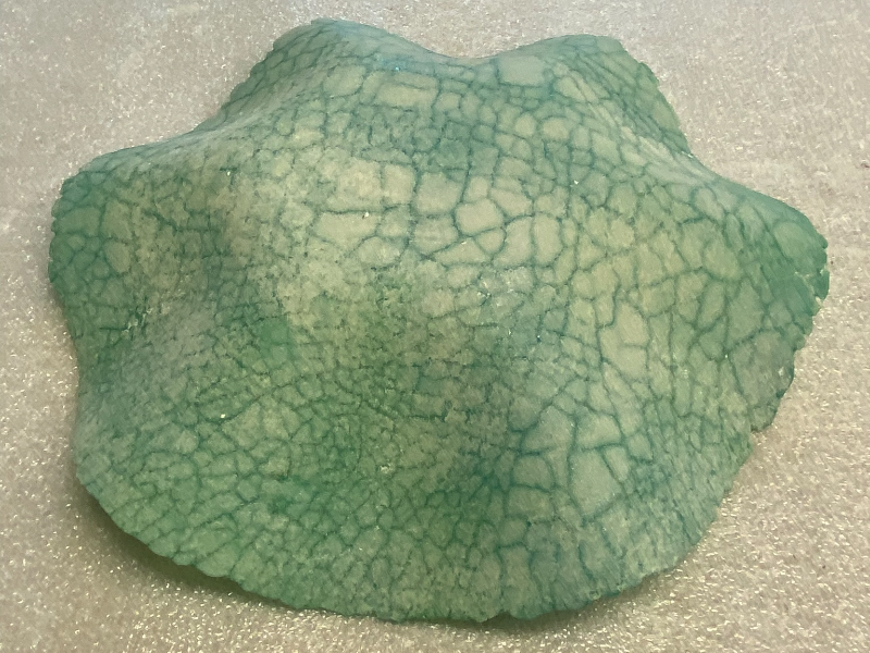 Picture: ../upload/IMG-21263.png