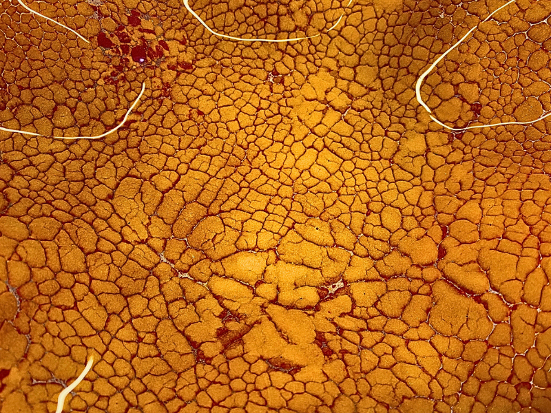 Picture: ../upload/IMG-21284.png