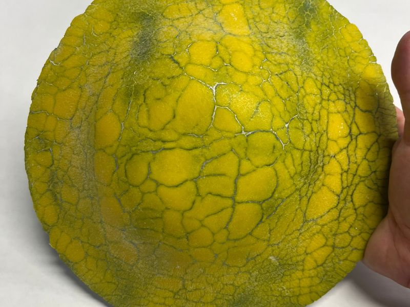 Picture: ../upload/IMG-21741.jpg