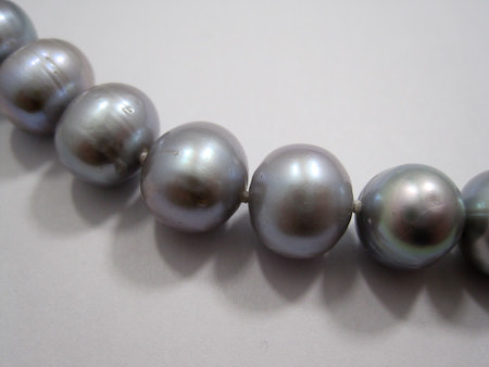 Picture: ../upload/IMG-21819.jpg