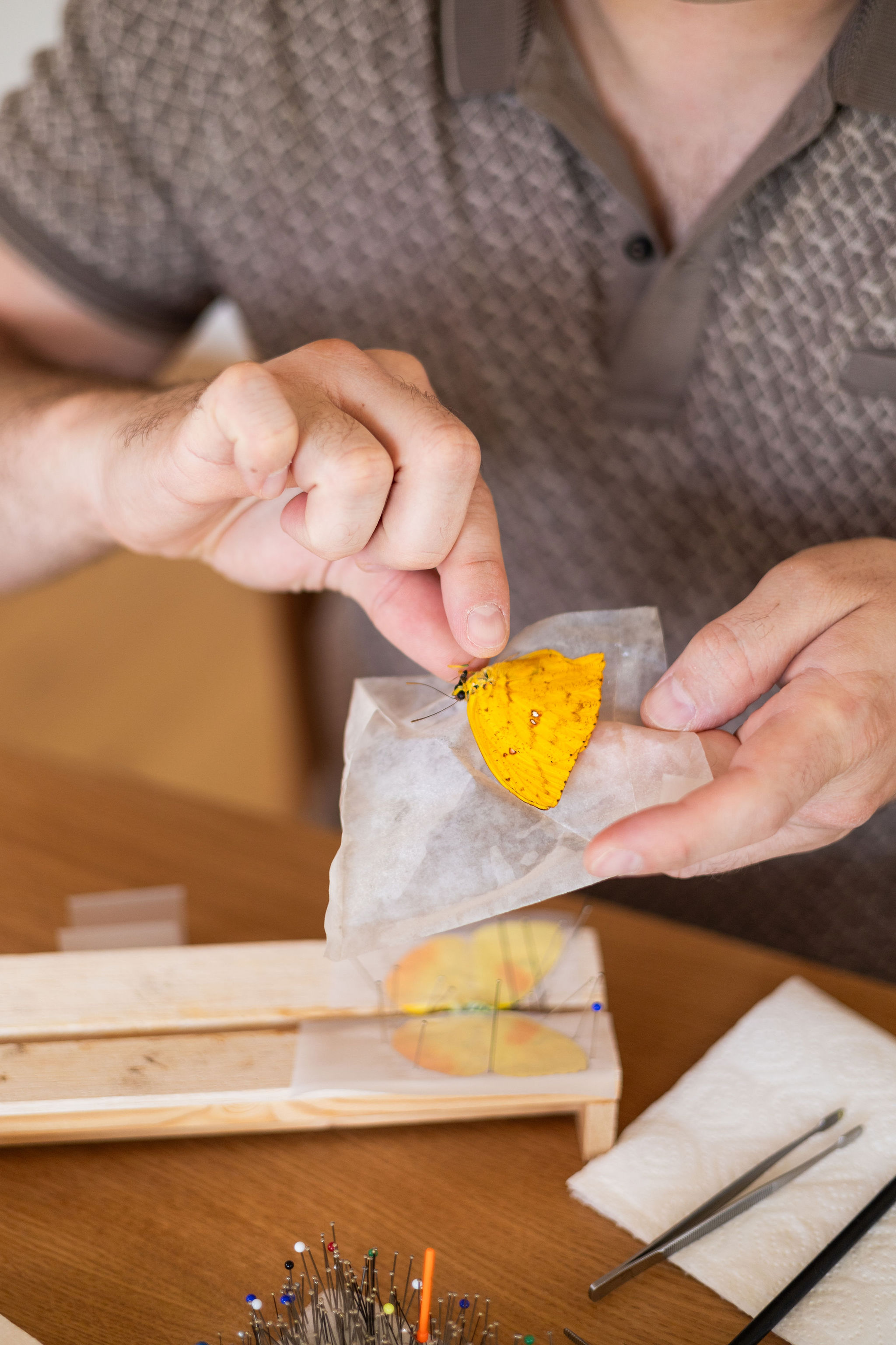 Picture: ../upload/IMG-21931.jpg