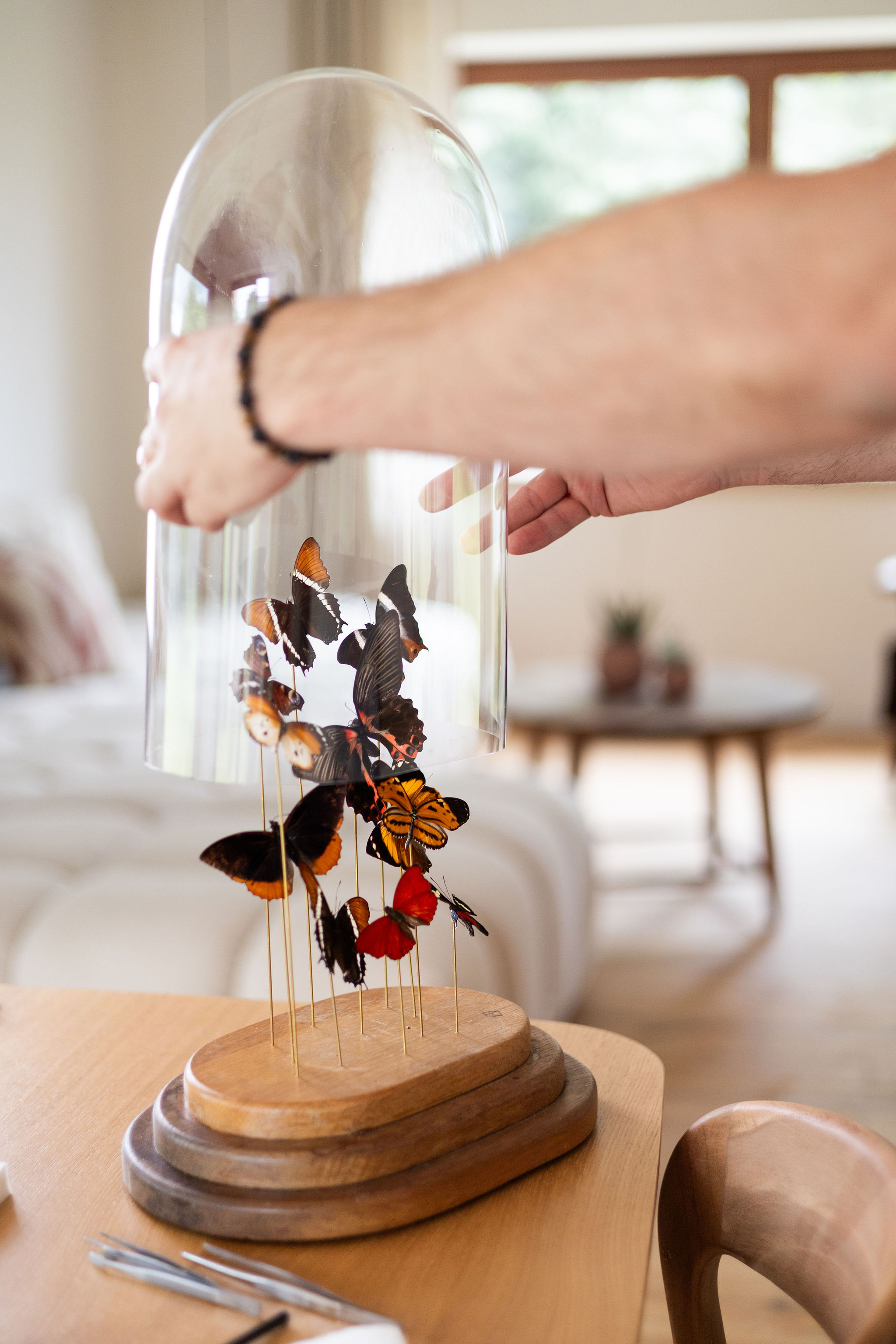 Picture: ../upload/IMG-21932.jpg