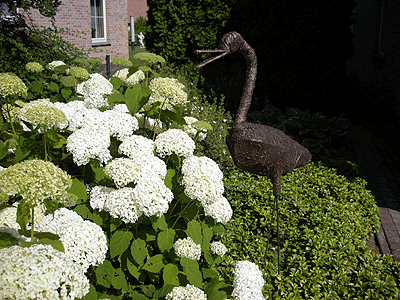 Picture: ../upload/IMG-2267.gif