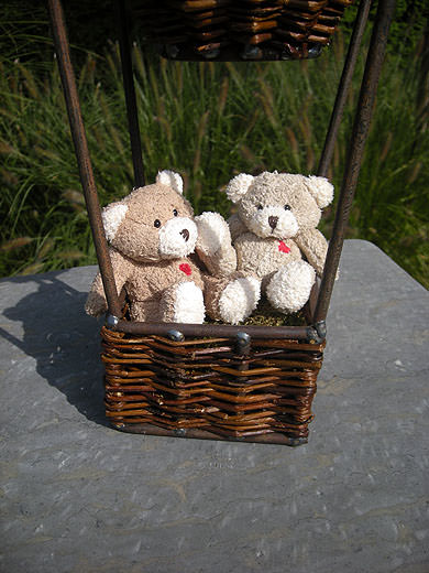 Picture: ../upload/IMG-2521.jpg