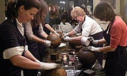 Picture: Vrouw aan de top