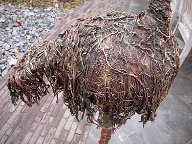 Picture: ../upload/IMG-2818.jpg