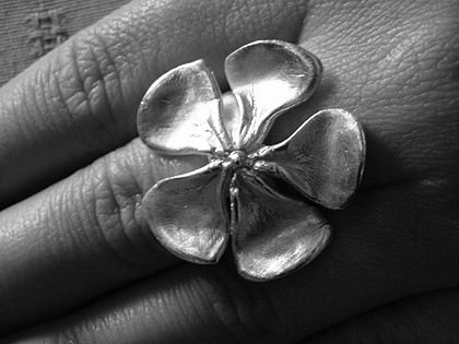 Picture: ../upload/IMG-3186.jpg