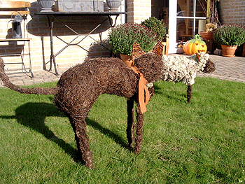 Picture: ../upload/IMG-34.gif