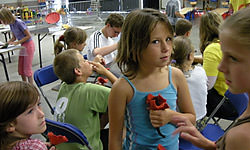 Picture: Vilten jeugddienst Wervik