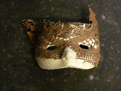 Picture: ../upload/IMG-3989.jpg