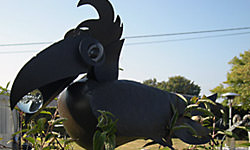 Picture: Opendeurdagen 2009 / deel 2