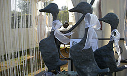 Picture: Opendeurdagen 2009 / deel 3