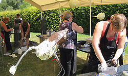 Picture: Powertex days