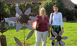 Picture: Zonnebloem in lood