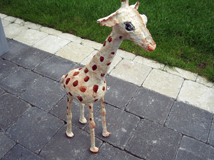 Picture: ../upload/IMG-5518.gif