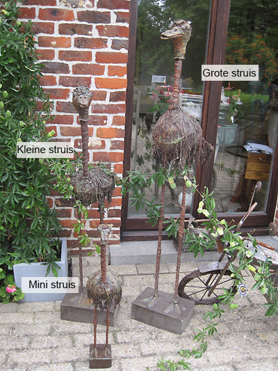 Picture: ../upload/IMG-5545.gif