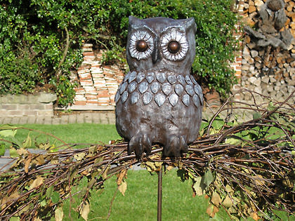 Picture: ../upload/IMG-5726.jpg