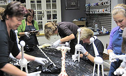 Picture: Giraf in Powertex