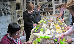 Picture: Paasdecoratie