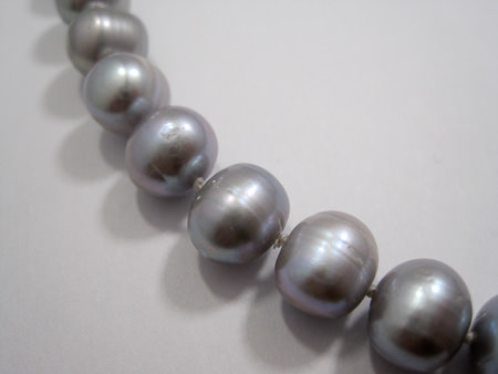 Picture: ../upload/IMG-6793.jpg