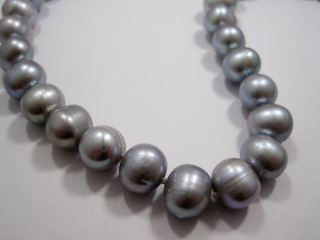 Picture: ../upload/IMG-6795.jpg