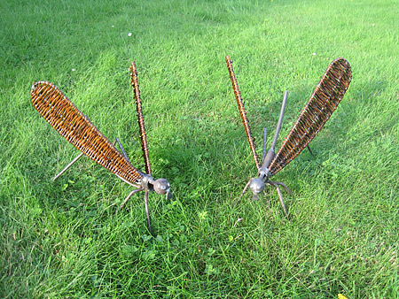 Picture: ../upload/IMG-6867.jpg