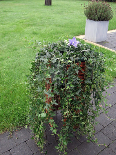 Picture: ../upload/IMG-6941.jpg