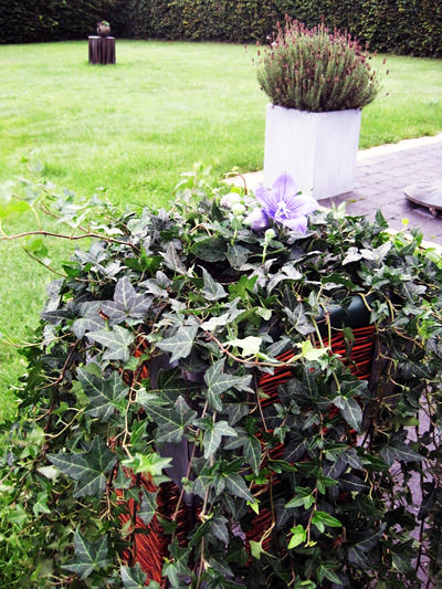 Picture: ../upload/IMG-6942.jpg