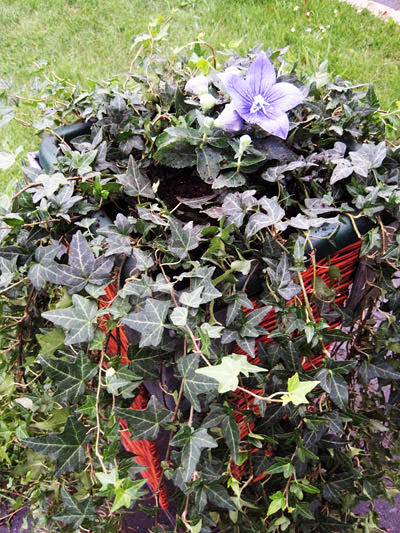 Picture: ../upload/IMG-6943.jpg