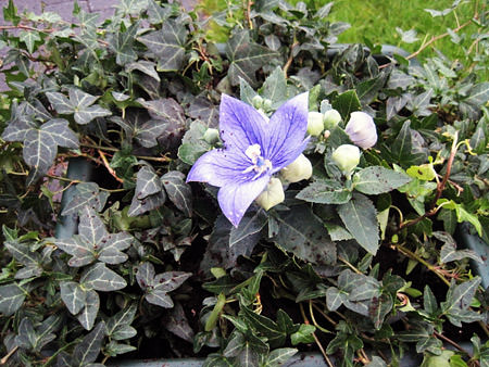 Picture: ../upload/IMG-6944.jpg