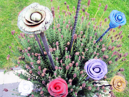 Picture: ../upload/IMG-7008.jpg